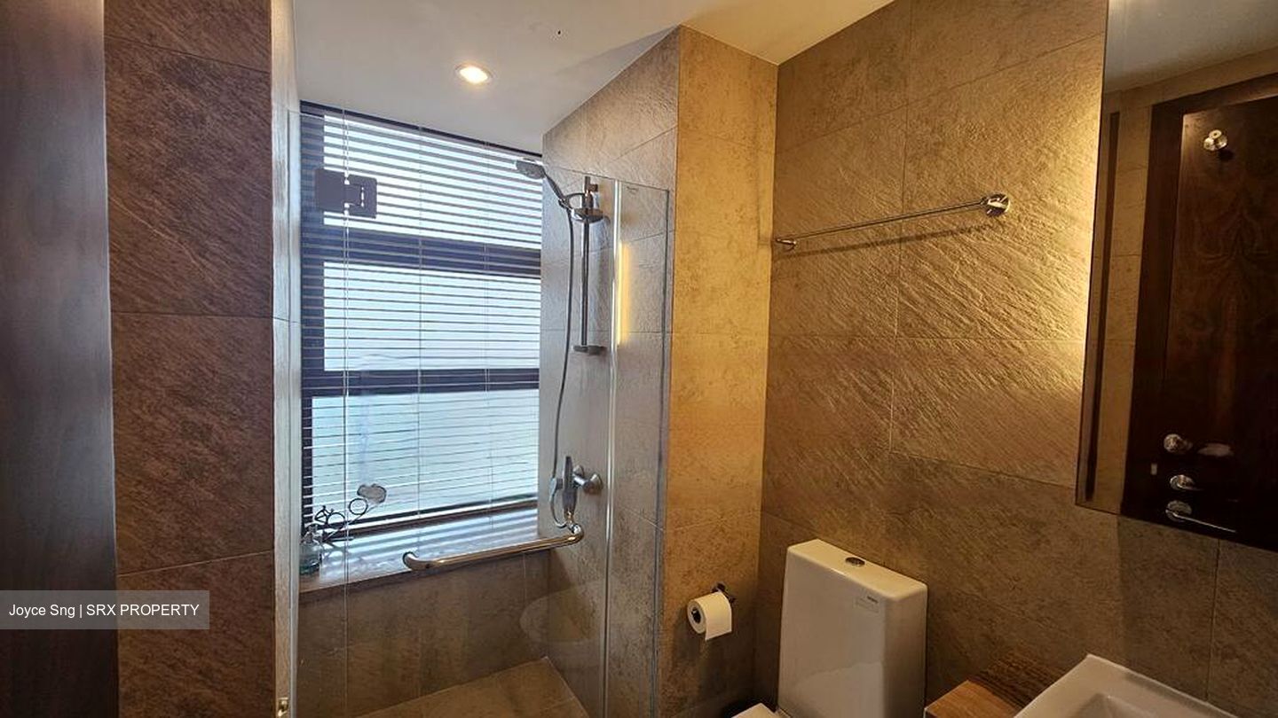 Holland Link (D10), Terrace #486481311